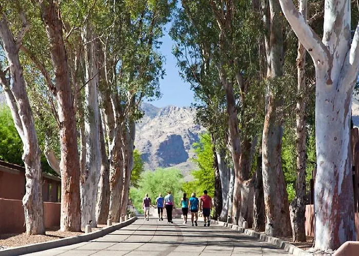 Canyon Ranch Tucson Mount Lemmont