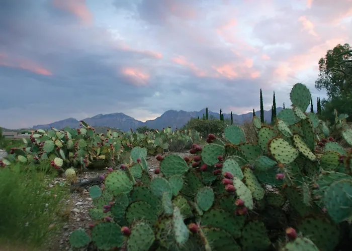 Resort Canyon Ranch Tucson Mount Lemmont