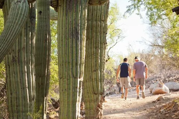 Canyon Ranch Tucson 4* Mount Lemmont