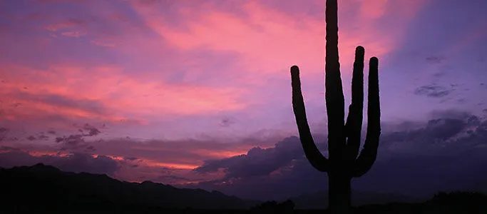 Ośrodek wypoczynkowy Canyon Ranch Tucson 4*